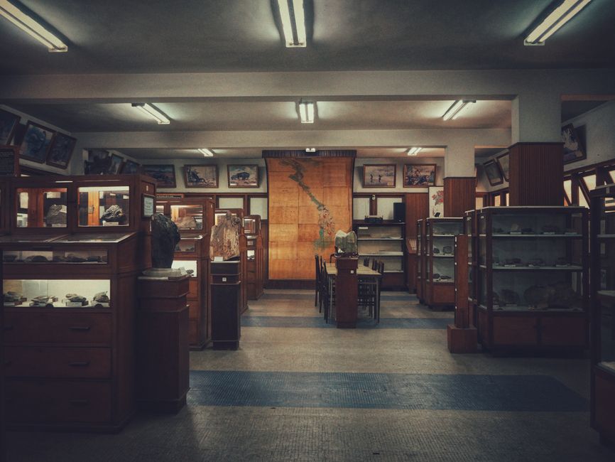 Classic museum interior featuring wooden display cases and a large wall map.